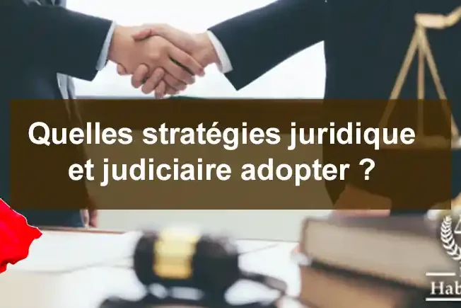 Quelles stratégies juridique et judiciaire adopter