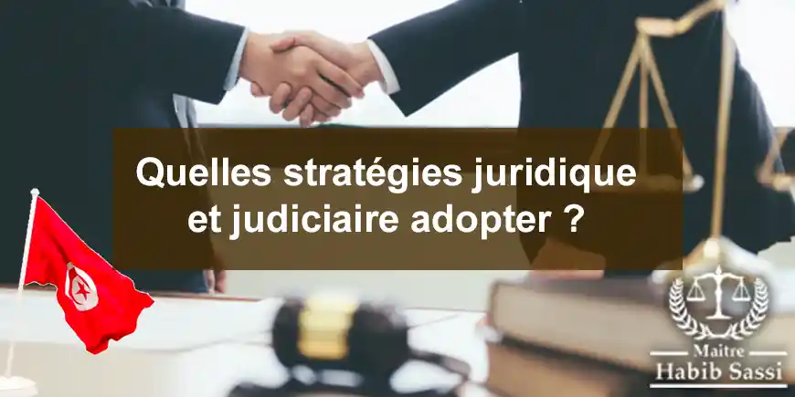 Quelles stratégies juridique et judiciaire adopter